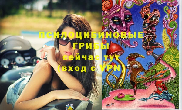 ГАЛЛЮЦИНОГЕННЫЕ ГРИБЫ Абдулино