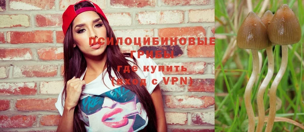mdpv Покров