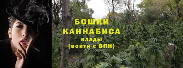 ГАЛЛЮЦИНОГЕННЫЕ ГРИБЫ Абдулино