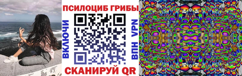Псилоцибиновые грибы GOLDEN TEACHER  Торопец 